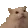scree