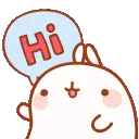 zhello
