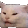 confusedcat Discord emoji