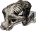 curlup Discord emoji