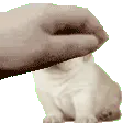 lemiredogpat lemiredogpat