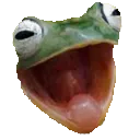 FROGGERS FROGGERS