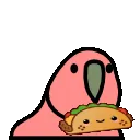 TacoParrot