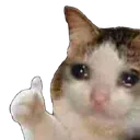 Sad Cat Thumbs Up sadcatthumbsup Discord Emoji