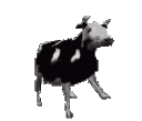 baka