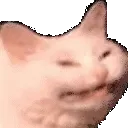 cattolaugh
