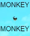 MONKEY