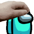 PetPet