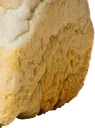 bred8 Discord Emoji