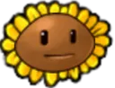 NotSunnyDidntLaugh