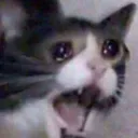 scren