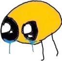 CUTE