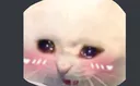 adorable_shy_cat Discord Emoji