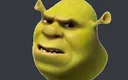shrek_is_sus_of_you Discord Emoji