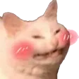 uwu