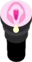 Fleshlight