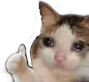 Cryingthumbsup Discord Emoji