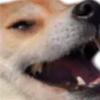 kekW