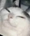 Hehehe Discord Emoji