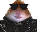 HamCool