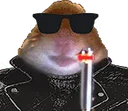 HamCoolFlash