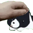 pet_the_oreo