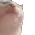 vibecat