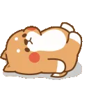 animal_relax