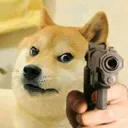 dogGun