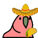 TacoParrotTal Discord emoji
