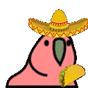 TacoParrotTal
