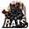 rat