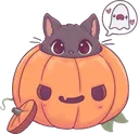 Pumpkin Cat PumpkinCat Discord Emoji