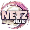 netzhub