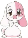 bunnyyy