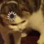 loadingcat loadingcat