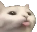 Cat15_retrasados Discord Emoji