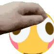 flushed_pet
