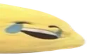 oooooooo