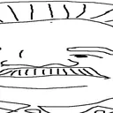 sadstolan2