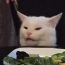 Catmeme catmeme Discord Emoji