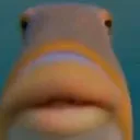 huh