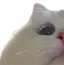 mew1
