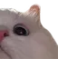 mew2