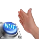 Nut