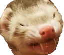 battyface