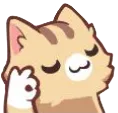 catAOK catAOK