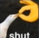 shut shut