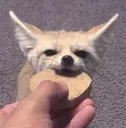 nomfen
