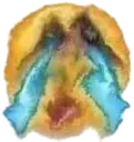 ce_brokencry ce_brokencry